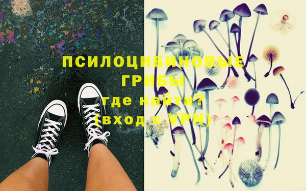 молекула духа Лысково