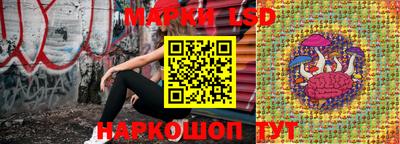 гидропоника Заводоуковск