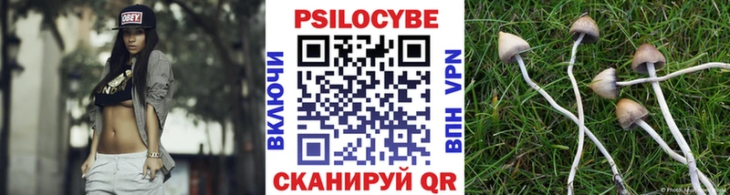 Псилоцибиновые грибы Psilocybine cubensis  Ялта 